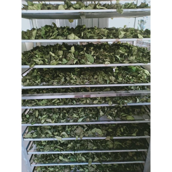 Túi 100g Bột trà xanh nguyên chất Beauty Queen .