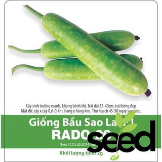15 hạt giống bầu sao lai f1 rạng đông