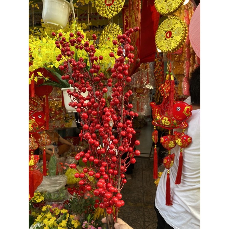 đào đông trái xoắn