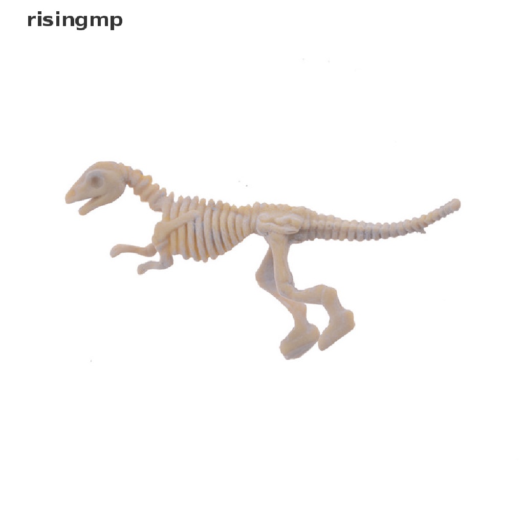 Bộ Đồ Chơi Khai Quật Hóa Thạch Khủng Long Cho Bé ♨Trên đó