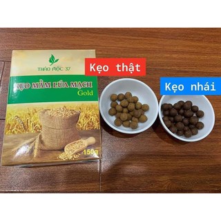 Kẹo Mầm Lúa Mạch Gold Thảo Mộc 37