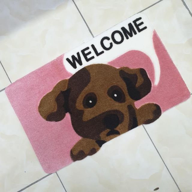 Thảm lau chân Thái Lan Wellcome siêu thấm