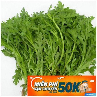 20g Hạt giống Rau Tần ô
