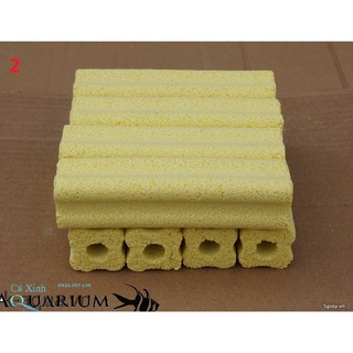 10 cây sứ lớn lọc nước hồ cá
