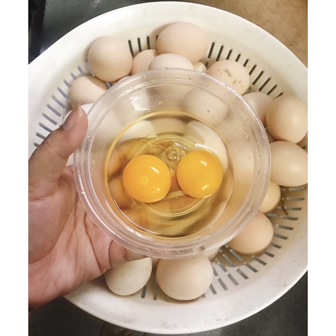 COMBO 1 VỈ TRỨNG GÀ TA CON SO ( 10 TRỨNG )