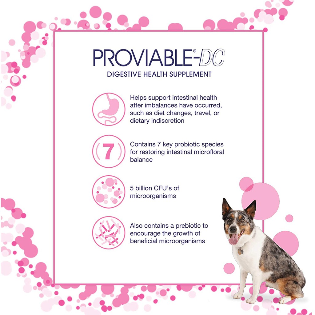 Men tiêu hoá cho chó mèo Nutramax Proviable