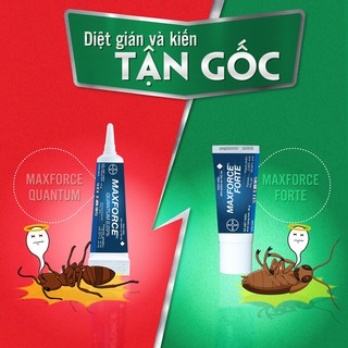 Combo Gel Diệt Kiến_Gián (MUA 01 SẢN PHẨM TẶNG 01 PHẦN QUÀ)