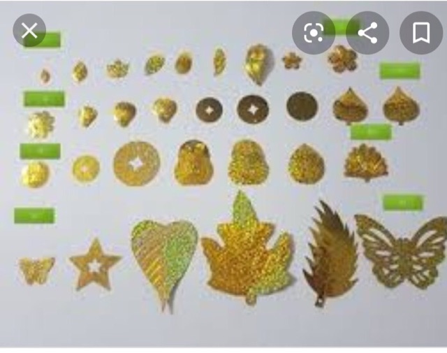 1kg lá nguyên liệu cây KIM TIỀN CÀNH VÀNG LÁ NGỌC  PHK SHOP