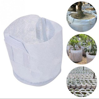 Vải Địa Kỹ Thuật Trồng Cây