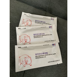 QUE THỬ THAI CHO HEO