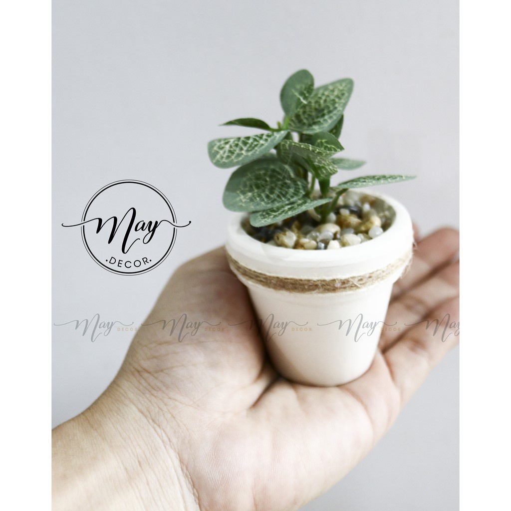 Cây giả - Chậu cây mini size 5cm - trang trí, chụp ảnh, quà tặng ý nghĩa