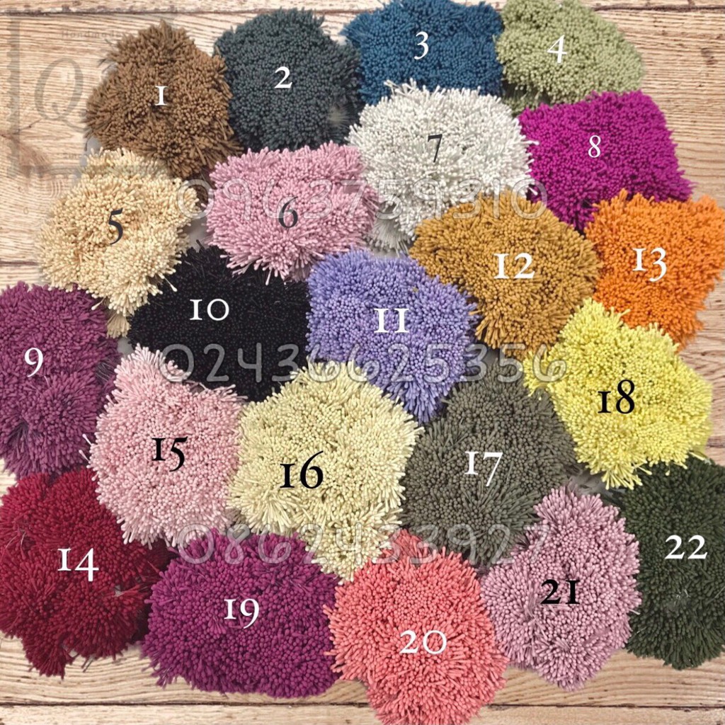 1 bó khoảng400 Nhụy hoa đôi mờ