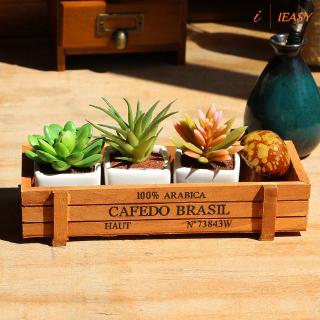 Khay gỗ đựng cây cảnh để bàn độc đáo