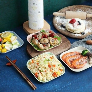 Set 8 đĩa lúa mạch vuông siêu cưng
