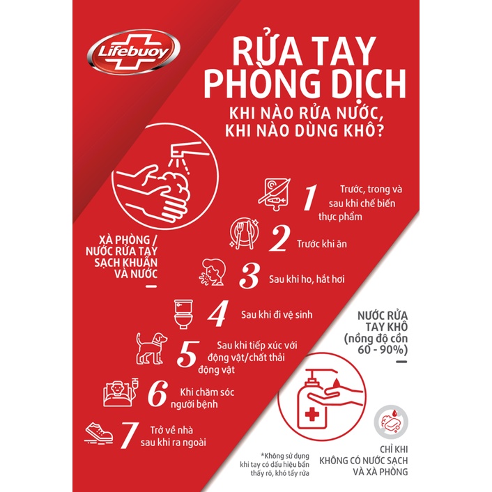 Nước rửa tay lifebuoy bảo vệ vượt trội 10 can 4kg - ảnh sản phẩm 3