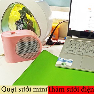 Mic Karaoke D998