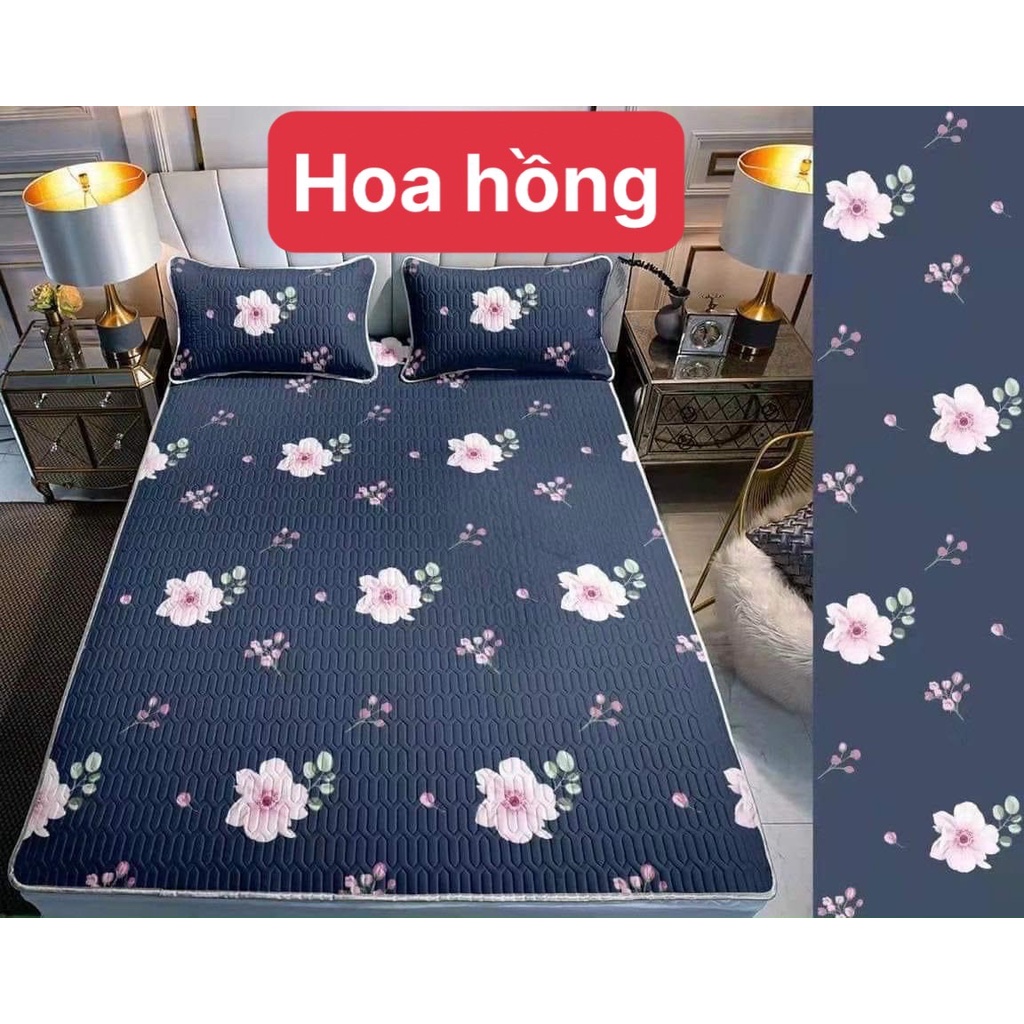 Chiếu điều hòa sao su non in hình 3D dễ thương tăng kèm 2 vỏ gối đầu | BigBuy360 - bigbuy360.vn