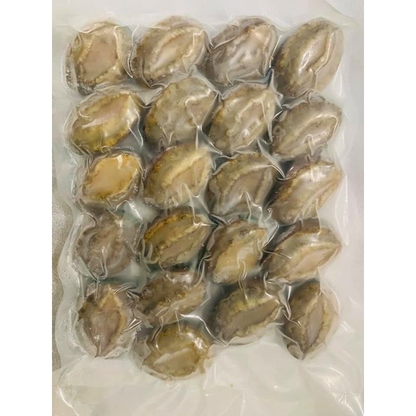[HOẢ TỐC SG] Bào ngư Hàn Quốc tươi ngon chất lượng - 500g