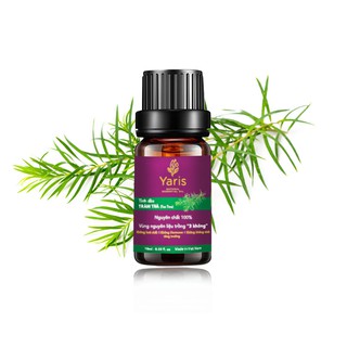 Tinh Dầu Tràm Trà Nguyên Chất Yaris [100% Hữu Cơ - Không Hương Liệu - Không Pha Loãng]