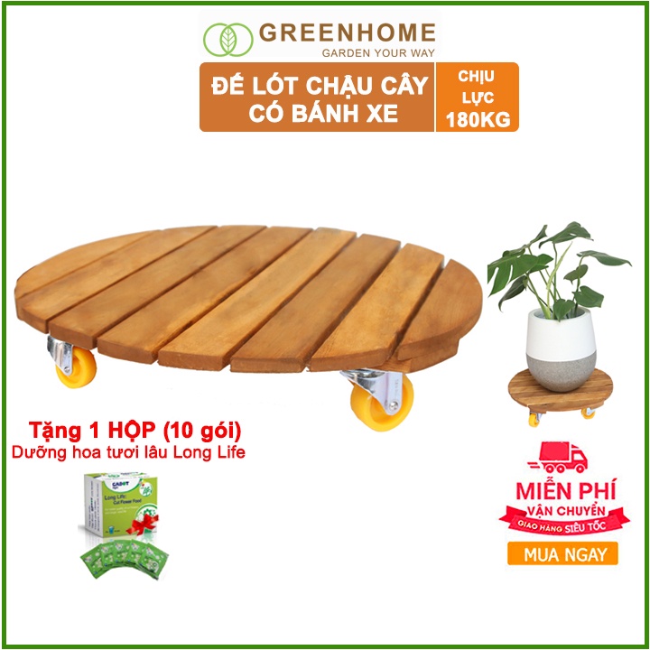 Đế lót chậu cây có bánh xe, hình tròn, màu nâu, bằng gỗ, chịu lực 180kg, R40xC9cm -Tặng 1 dĩa lót Tròn D27cm |Greenhome