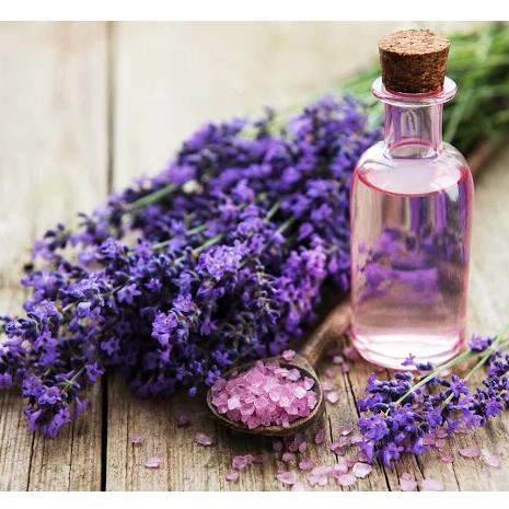 Tinh dầu oải hương (Lavender) nguyên chất từ thiên nhiên - KingOil