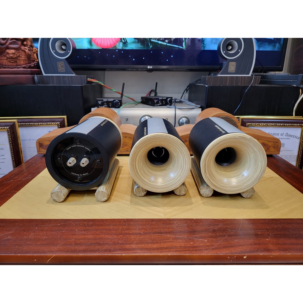 Loa Super Treble Pioneer V2