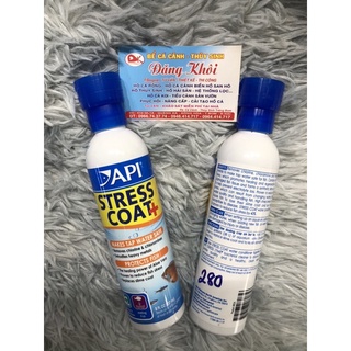 Api stress Coat cho cá cảnh