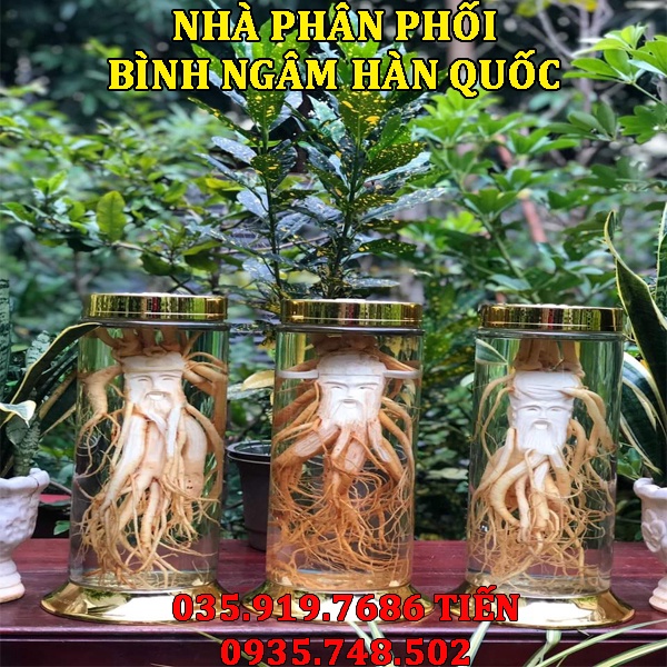 Bình ngâm rượu thủy tinh Hàn Quốc 1L NO.69| Mẫu mới