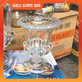 Ly thủy tinh cắm phật thủ, cắm hoa