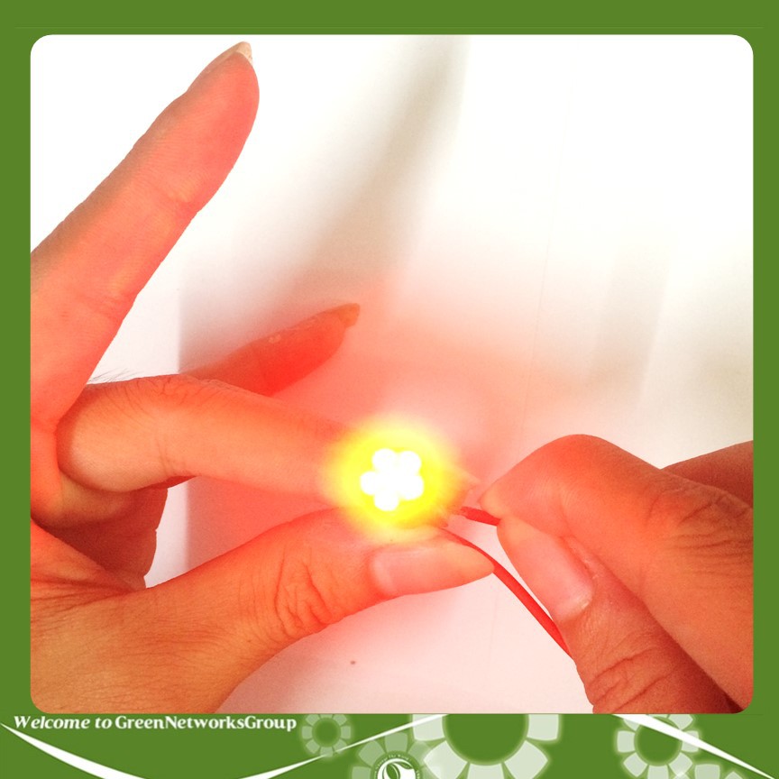 Bộ đèn xinhan demi 6 LED sắc đỏ dành cho xe máy Greennetworks