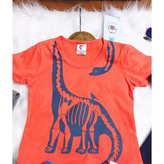 Combo 4 áo thun cotton xuất dư cho bé.