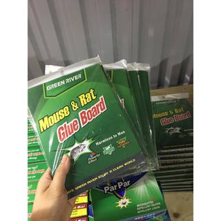 MIẾNG DÁN BẪY CHUỘT⚡️FREE SHIP⚡️ SIÊU DÍNH