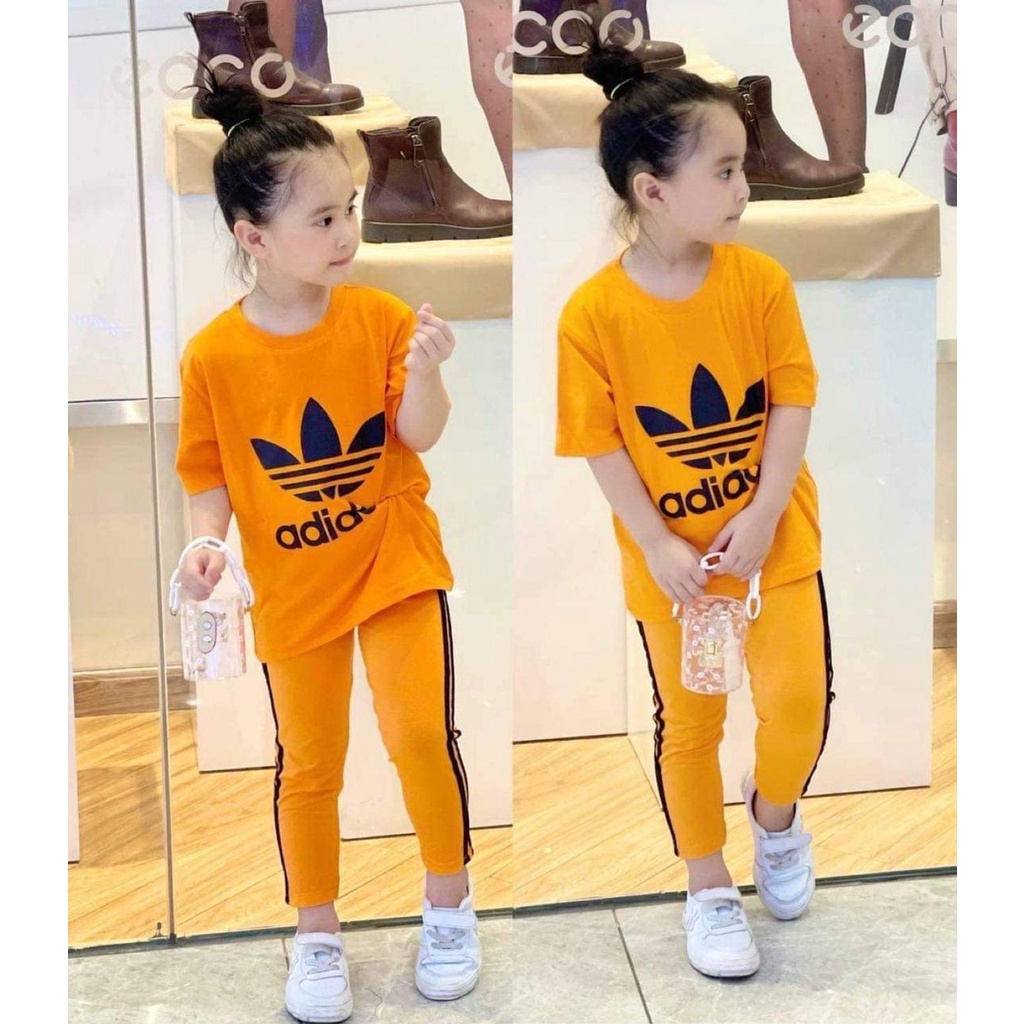 Đồ bộ bé gái thể thao cotton 4 chiều Jennie kids size nhỡ 11-23kg J494