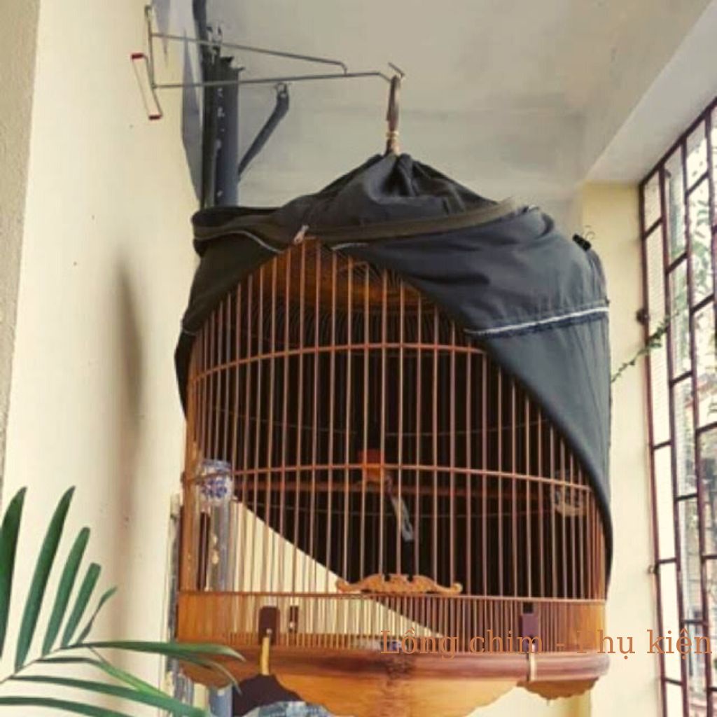Móc treo lồng chim Móc treo lồng chim gắn tường cao cấp giá rẻ