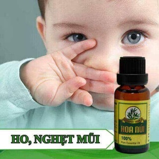 TINH DẦU TRÀM HOA NÚI
