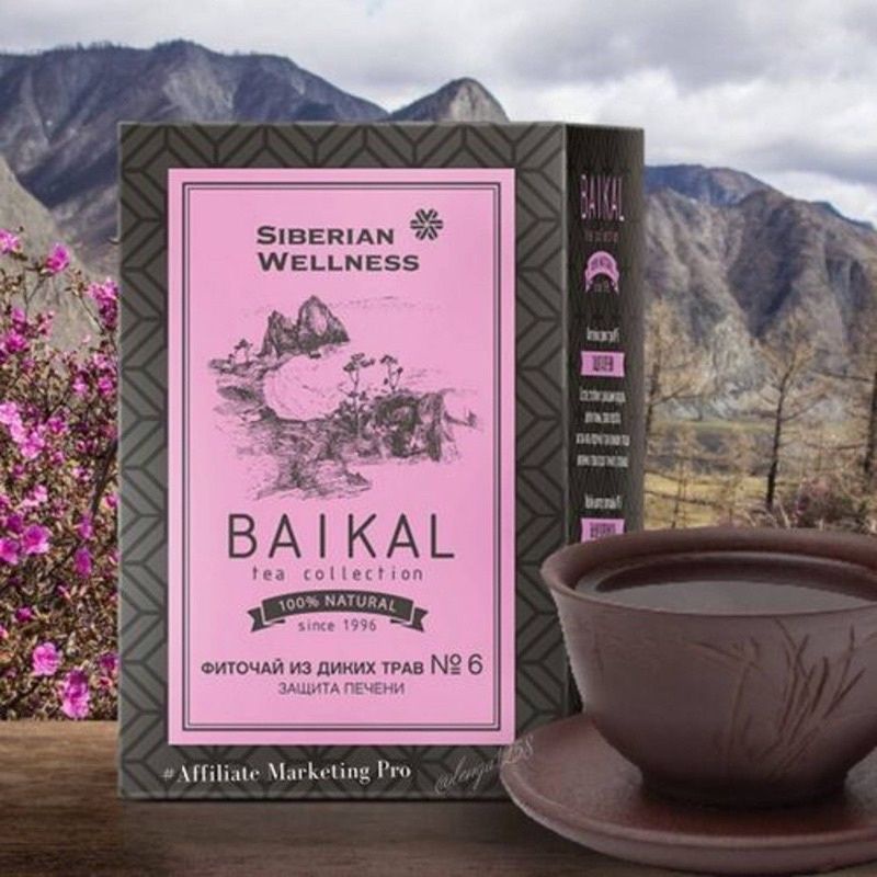 [Trà bổ gan N6] Trà thanh nhiệt giải độc gan Baikal tea collection Herbal tea N6 siberian