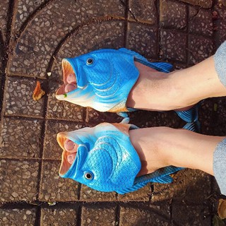 Dép cá chép màu xanh cực đẹp