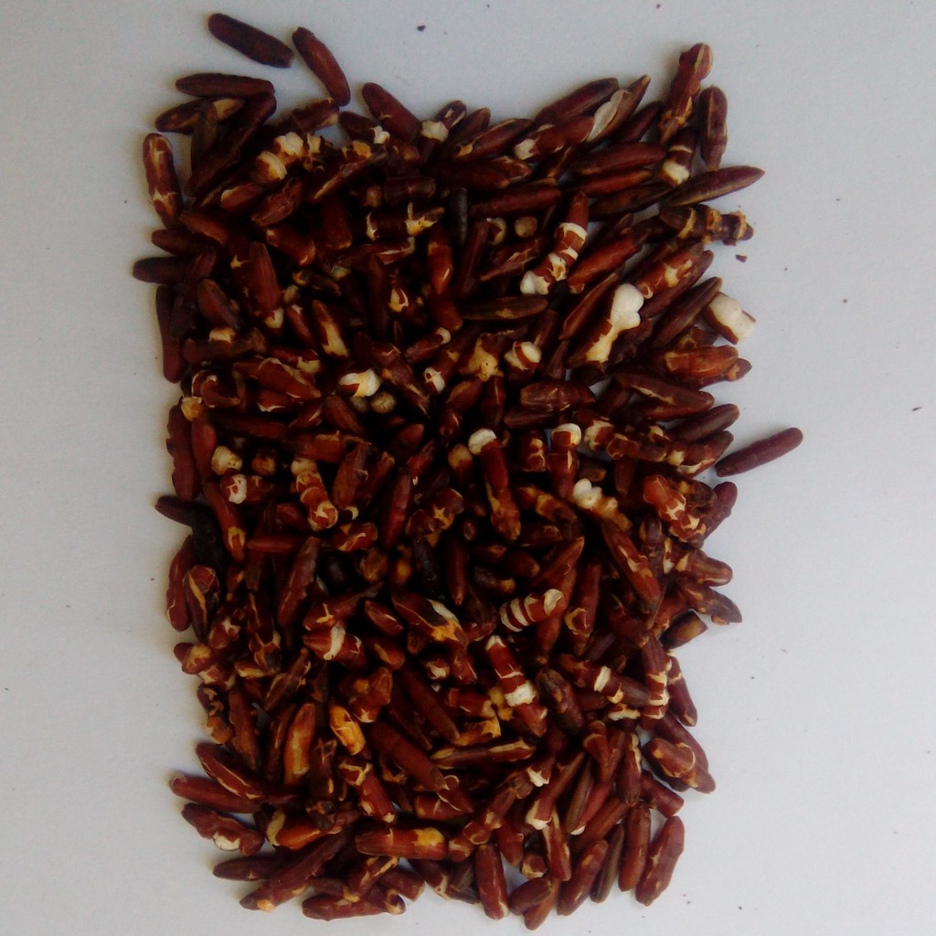 Trà gạo lứt đậu đen xanh lòng rang tay 500g giảm cân Thực Dưỡng Bà Loan | BigBuy360 - bigbuy360.vn