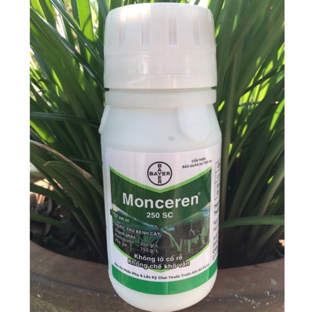 Thuốc Đặc Trị Lỡ Cỗ Rể - Chết Rạp Cây Con Monceren 250SC