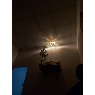 đèn gỗ hoa sen size to 65cm