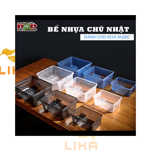 Hộp Nuôi Rùa Nước - Chậu Nhựa Nuôi Rùa Để Bàn