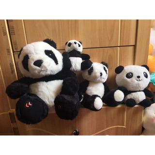 Gấu của Như Quỳnh
