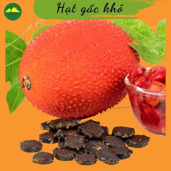 Hạt gấc khô Nam Hà