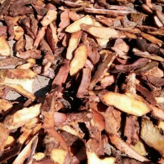 Tắc kè đá khô 1kg