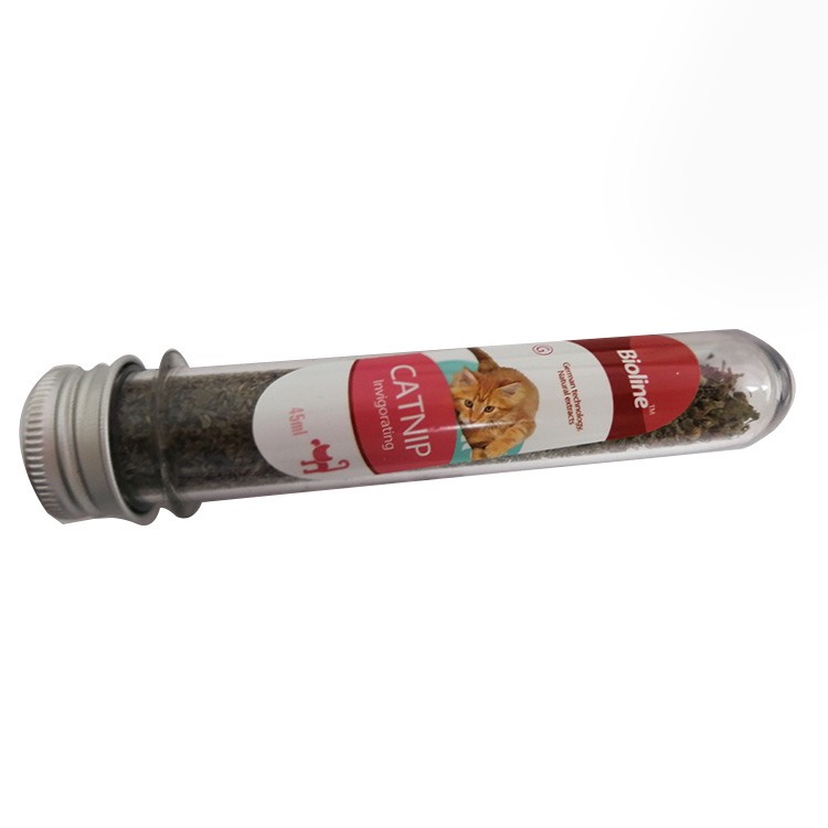 Cỏ Bạc Hà CAT MIN, thức ăn cho mèo.