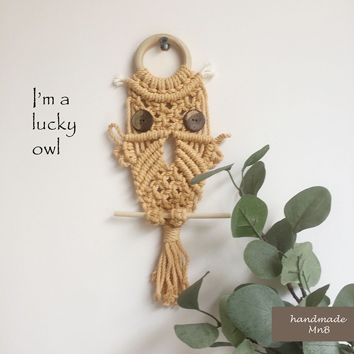 🌺 🌺 Cú mèo macrame cú trang trí cú treo tường 🌺 🌺