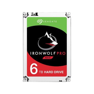Ổ cứng HDD Seagate Ironwolf Pro 6TB Sata 3 (ST6000NE0023)