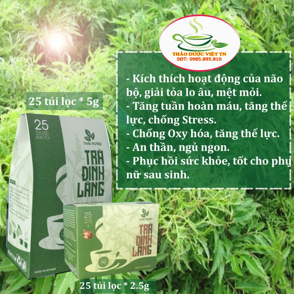 Trà Đinh Lăng Thái Hưng Giúp An Thần Ngủ Ngon Giảm Stress Rối Loạn Tiền Đình 25 Túi Lọc 125g Thảo dược việt TN | BigBuy360 - bigbuy360.vn