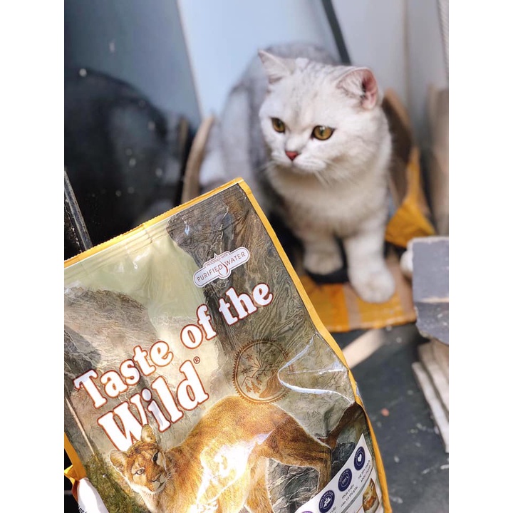 Thức Ăn Hạt Cho Mèo - Taste Of The Wild - Thức Ăn Cho Mèo Con Bao 500g & 2kg Hỗ Trợ Mượt Lông, Tiêu Búi Lông