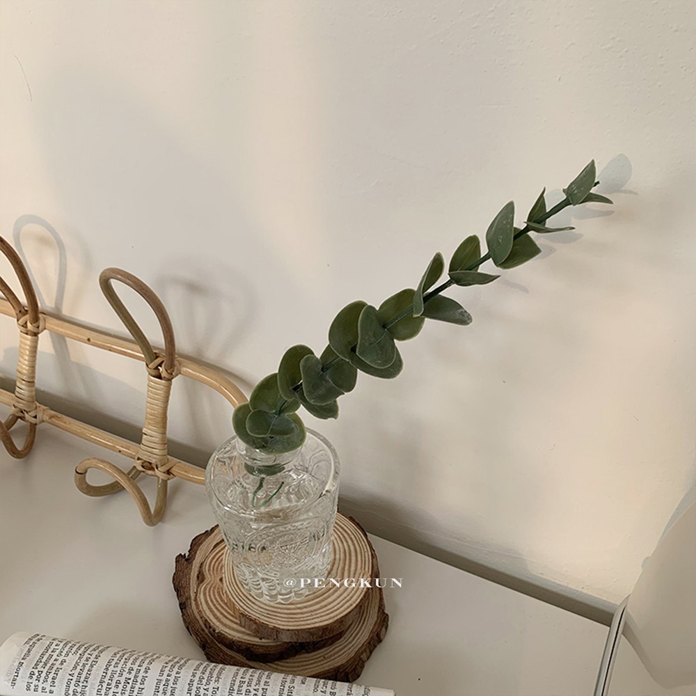 Nhành Cây Khuynh Diệp Nhân Tạo Dùng Trang Trí Nội Thất